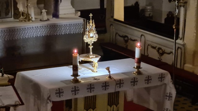 29.02.2024 - Wielbienie